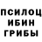 Псилоцибиновые грибы мухоморы Gabriel Trejo