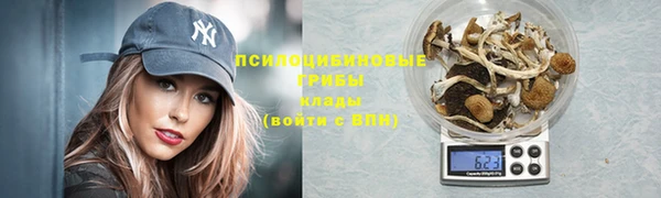 мдпв Волосово
