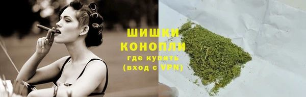 мдпв Волосово