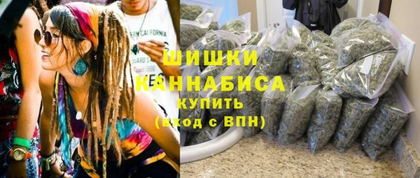 мдпв Волосово